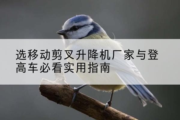 开江电动升降机厂家-选移动剪叉升降机厂家与登高车必看实用指南