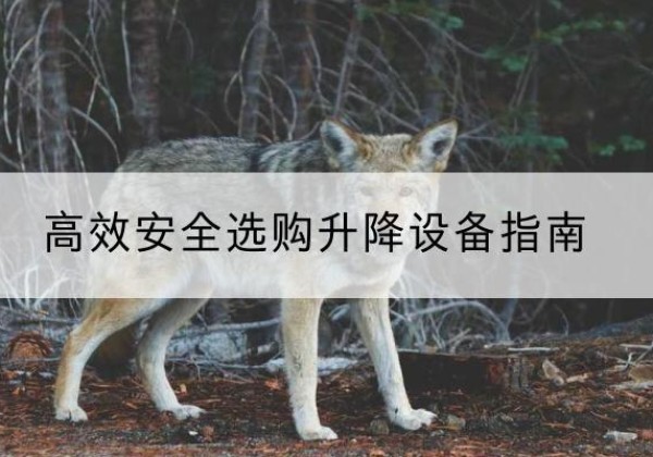 开江升降货梯厂家推荐-*安全选购升降设备指南